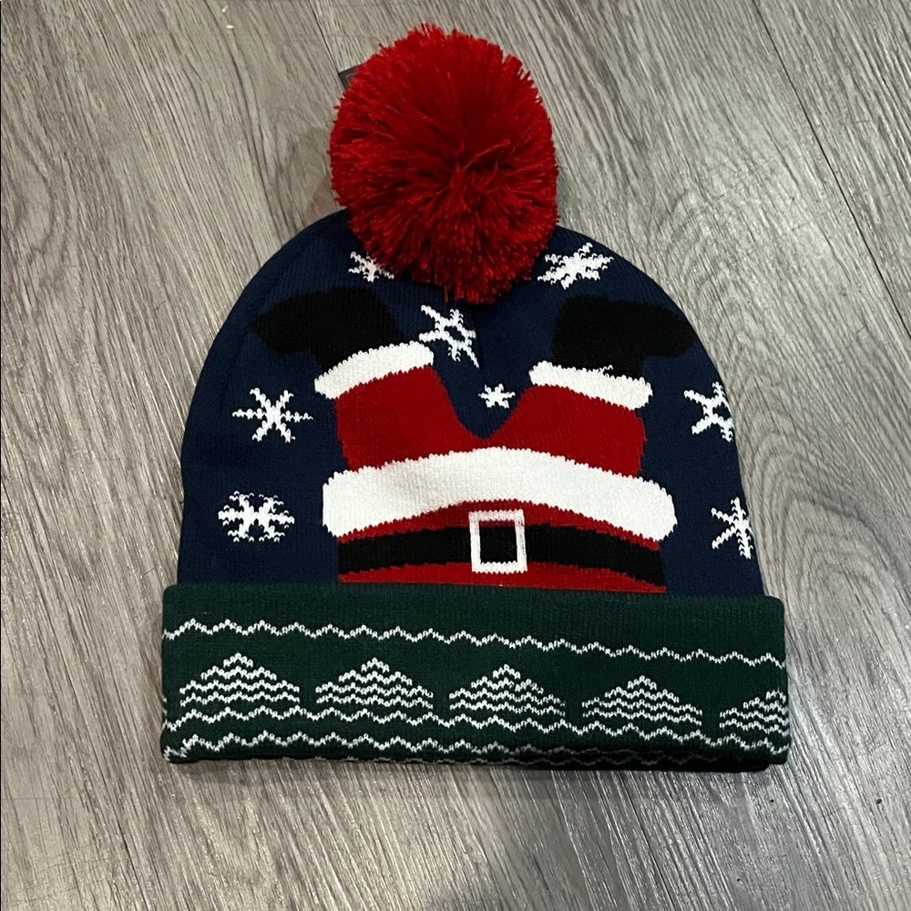 Navy and Green Pom-Pom Beanie